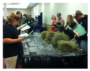 feed judging at the Junior Dairy Management Contest