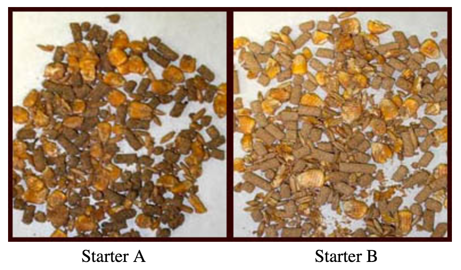 calf starter feed ingredients - Elayne Southern