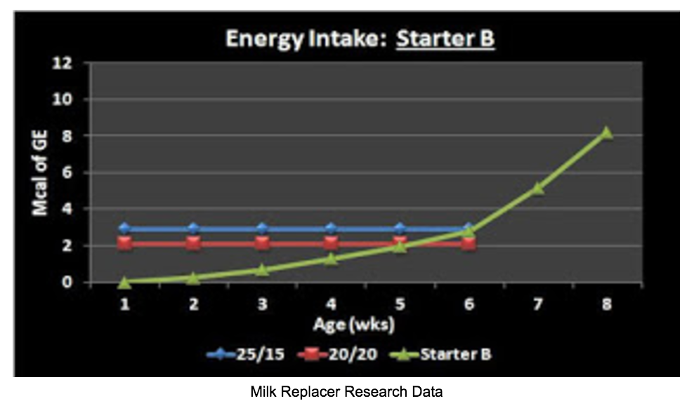Calf Starter Big Impact On Calf Growth Calf Sessions