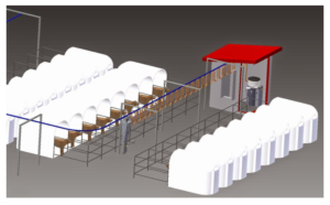 Automatic Feeding For Calves In Individual Pens Calf Sessions