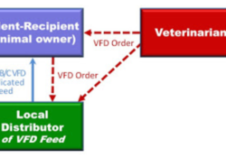 Veterinary Feed Directive video presentation