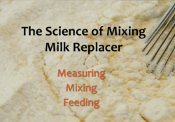 The Science of Mixing Milk Replacer